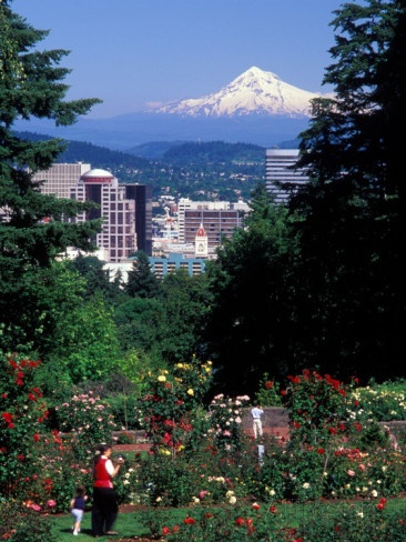 International Rose Test Garden Portland, OR.jpg